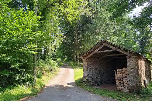 forêt grand gîte Castres Sidobre
